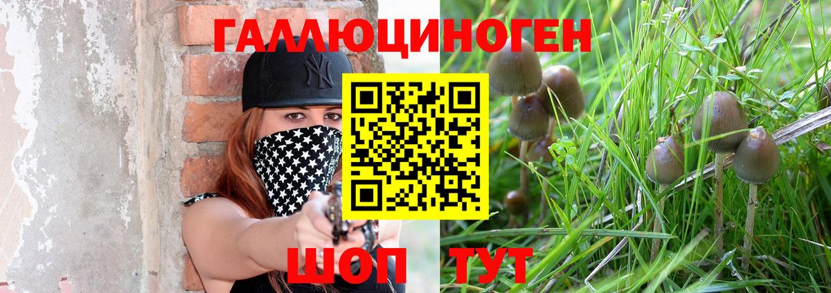 Дедовск  Галлюциногенные грибы GOLDEN TEACHER  Галлюциногенные грибы Psilocybine cubensis  Вход с VPN 