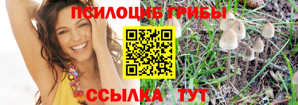 Галлюциногенные грибы мухоморы Дедовск